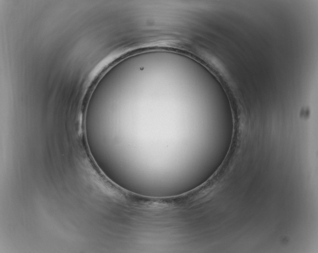 X0000112841324200908211232