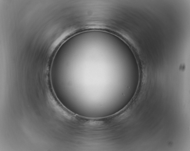 X0000112841325200908211232