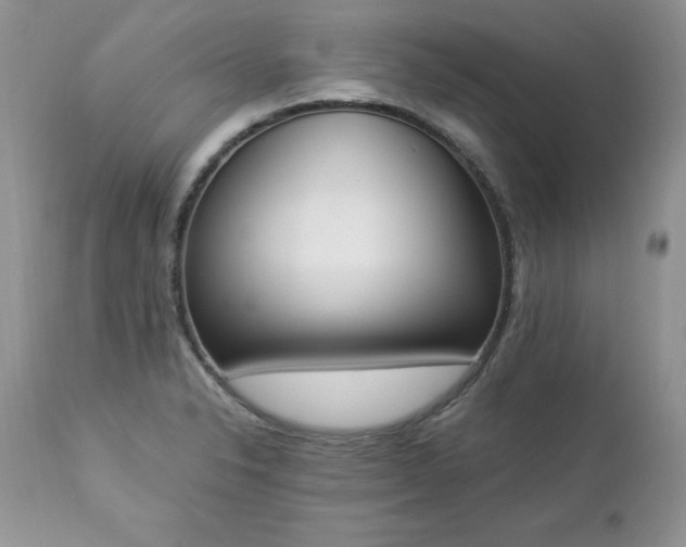 X0000112841326200908211232