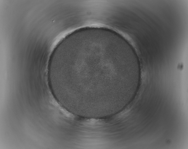 X0000112841327200908211232