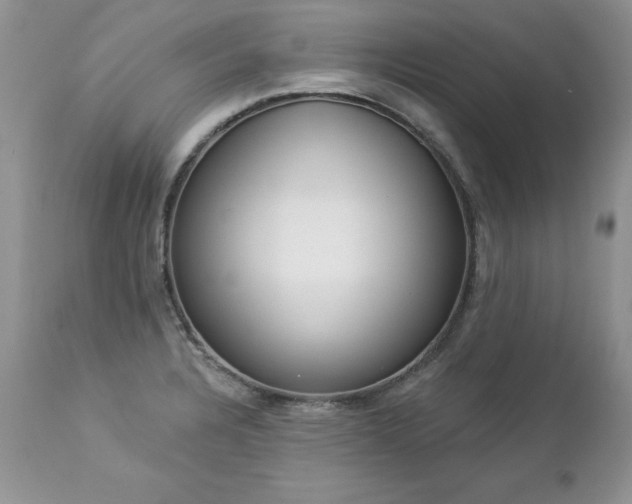 X0000112841328200908211232