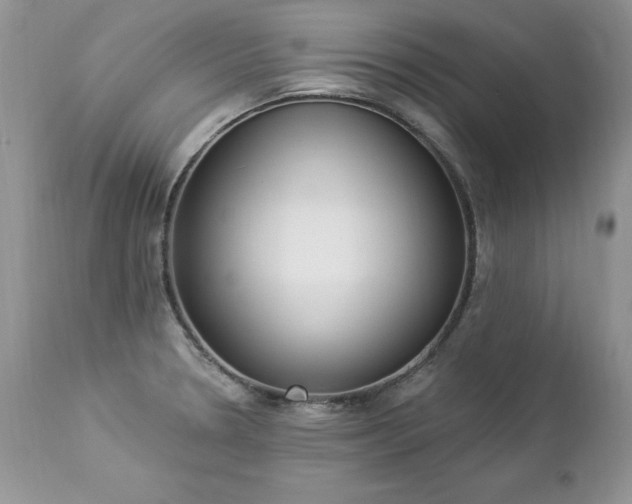 X0000112841330200908211232