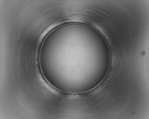 X0000112841331200908211232