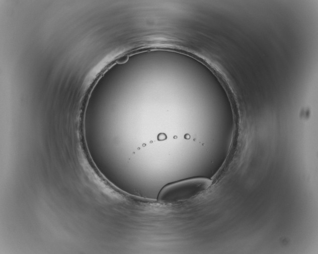 X0000112841333200908211232