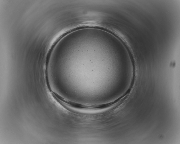 X0000112841334200908211232