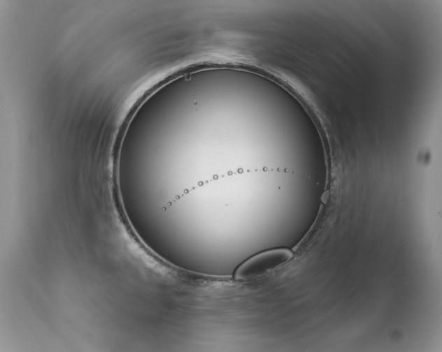 X0000112841335200908211232