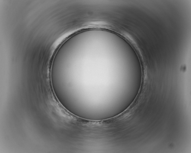 X0000112841336200908211232