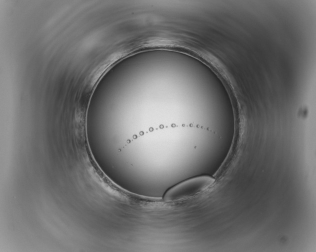 X0000112841337200908211232