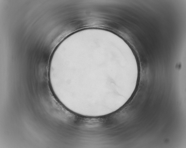 X0000112841338200908211232