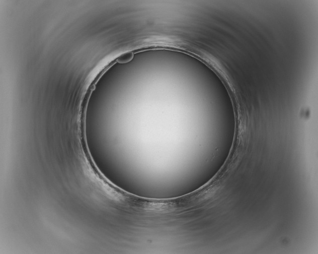 X0000112841339200908211232