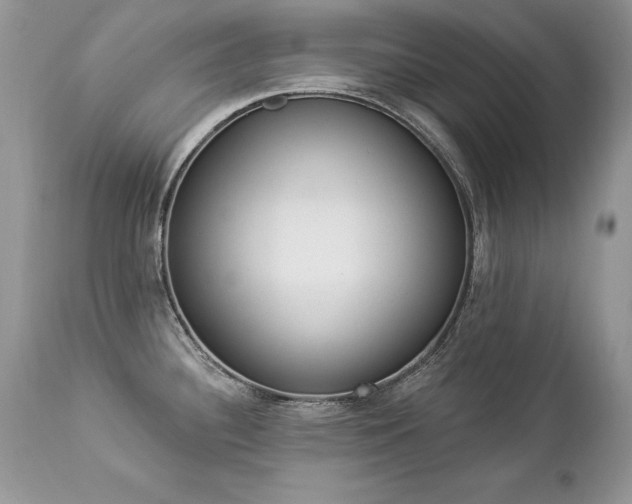 X0000112841340200908211232