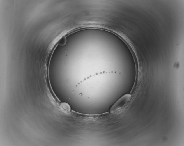 X0000112841341200908211232