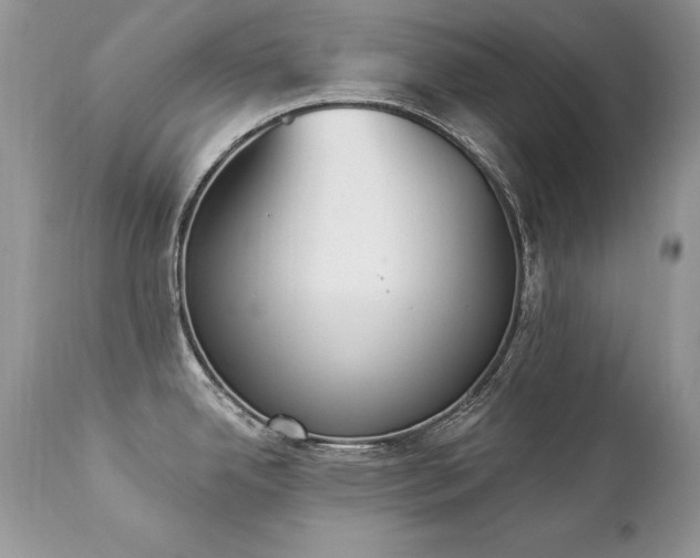 X0000112841342200908211232