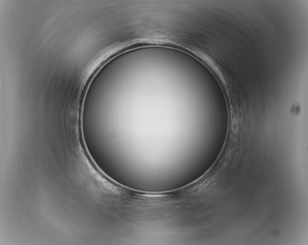 X0000112841343200908211232