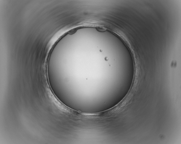 X0000112841344200908211232