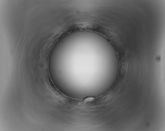 X0000112841345200908211231