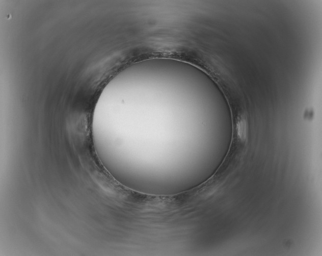 X0000112841347200908211231