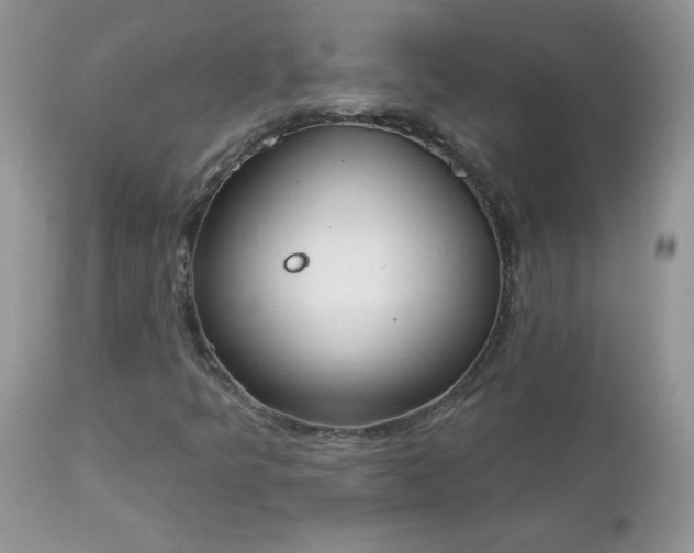 X0000112841349200908211231