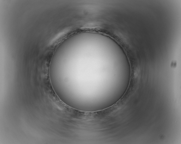 X0000112841350200908211231