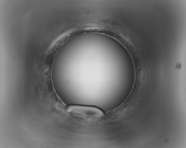 X0000112841351200908211231