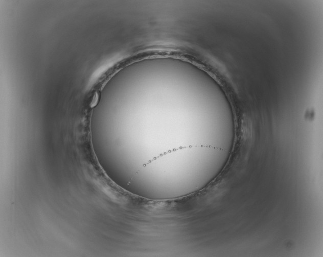 X0000112841352200908211231