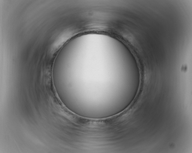 X0000112841354200908211231