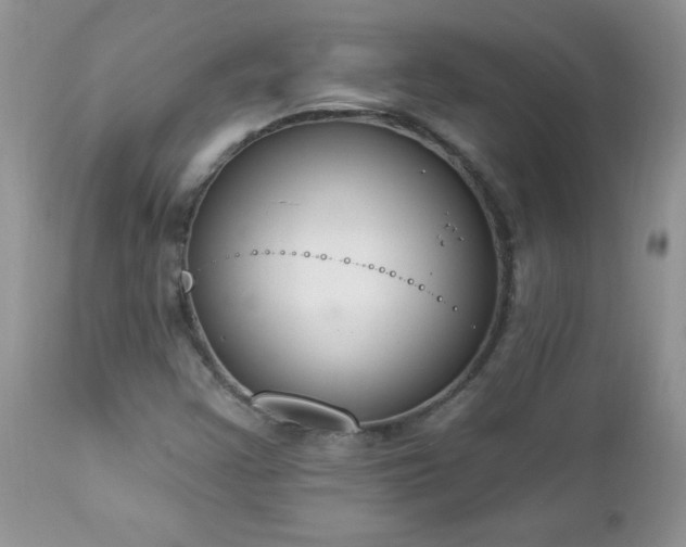 X0000112841355200908211231