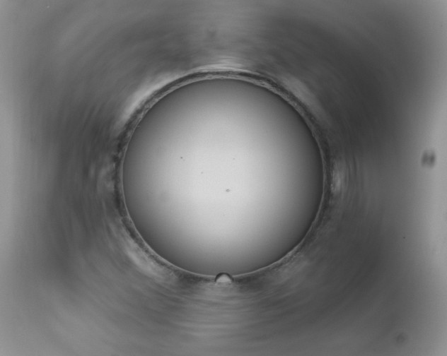 X0000112841356200908211231