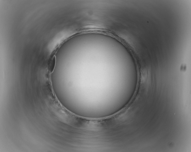 X0000112841357200908211231