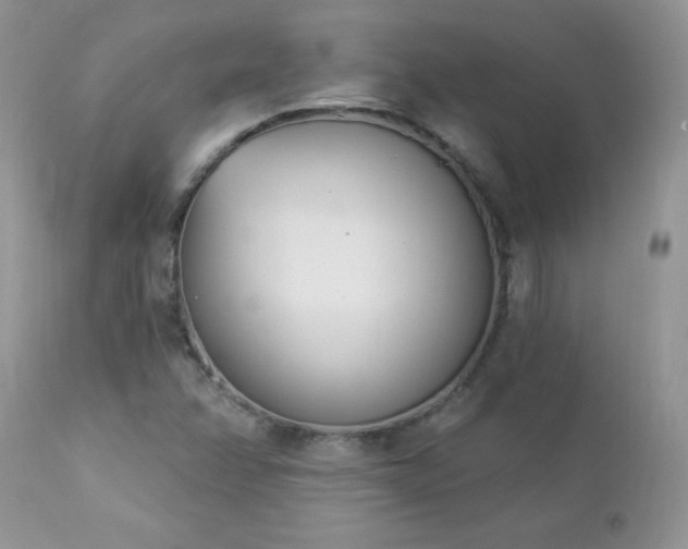 X0000112841358200908211231