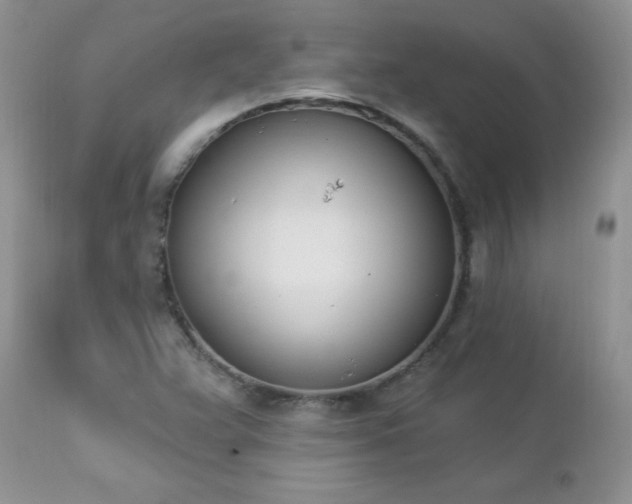 X0000112841359200908211231