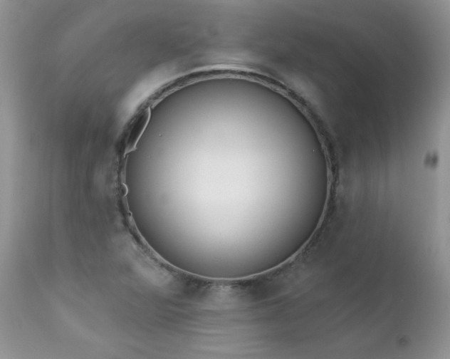 X0000112841360200908211231