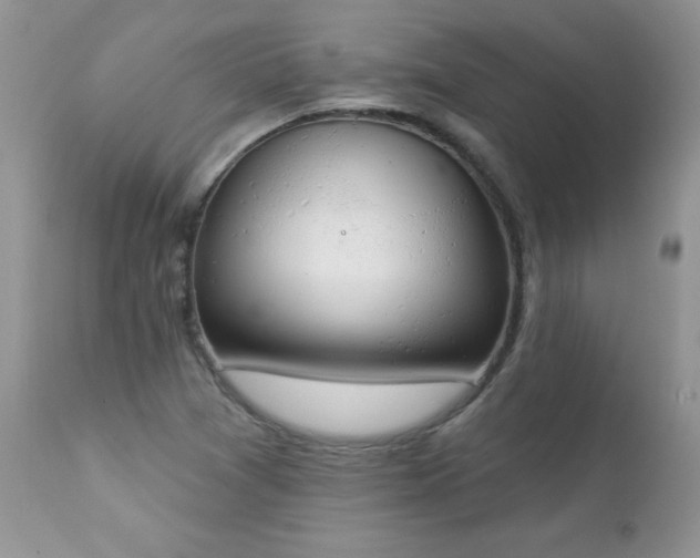 X0000112841361200908211231