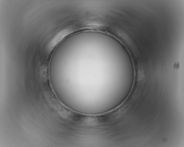 X0000112841362200908211231