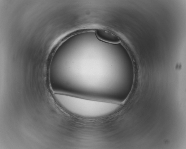 X0000112841364200908211231