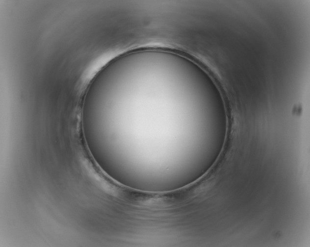 X0000112841367200908211231