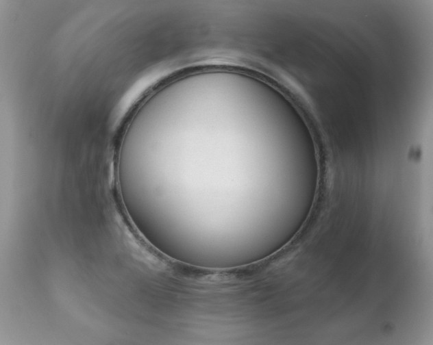 X0000112841368200908211231