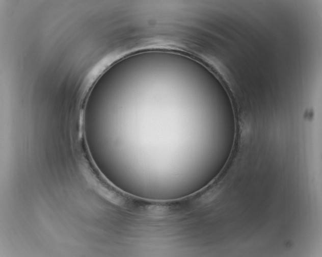 X0000112841371200908211231