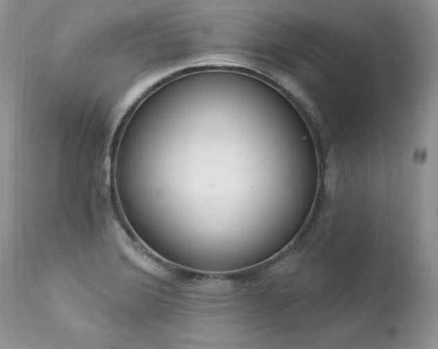 X0000112841372200908211231