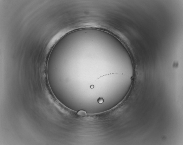 X0000112841373200908211231