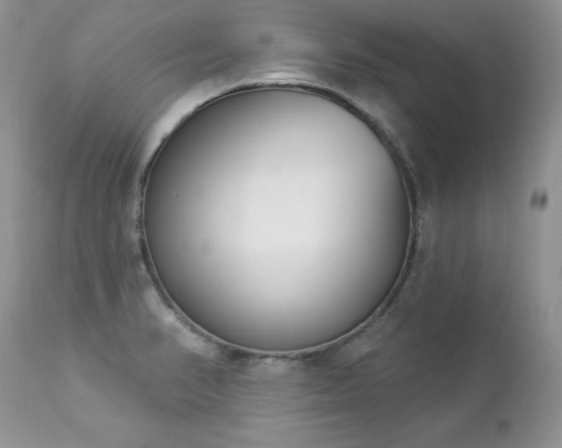 X0000112841374200908211231