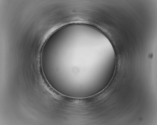 X0000112841375200908211231