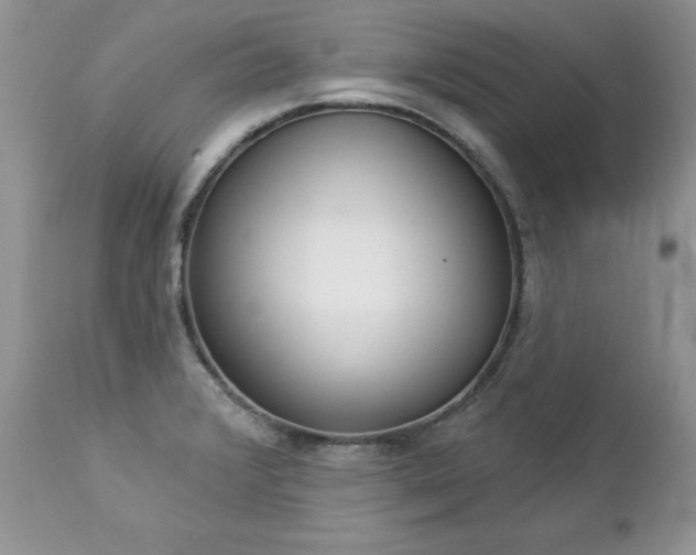 X0000112841376200908211231