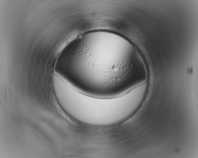 X0000112841377200908211231