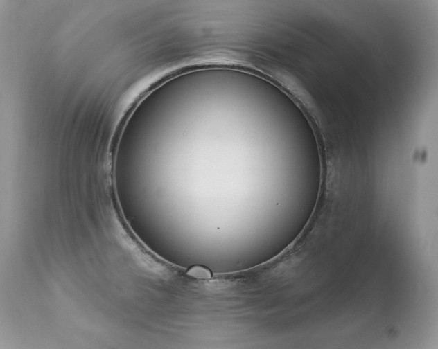 X0000112841380200908211231