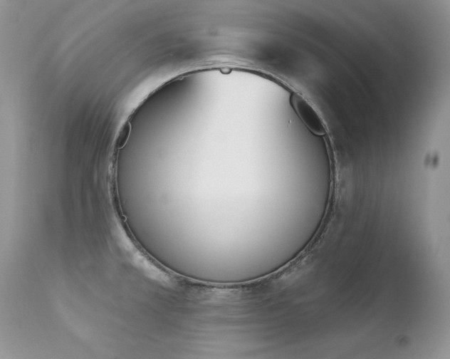 X0000112841381200908211231