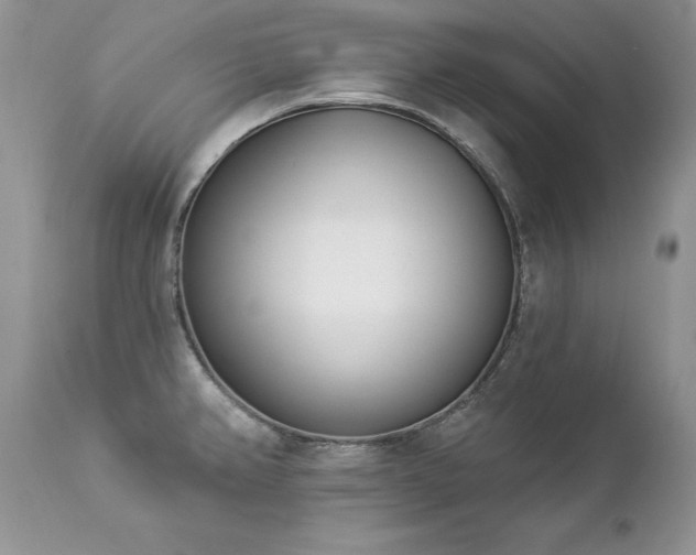 X0000112841382200908211231