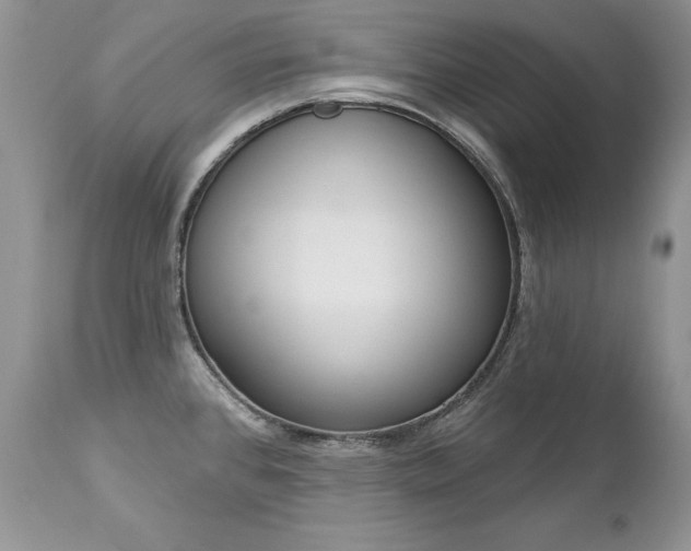 X0000112841384200908211231