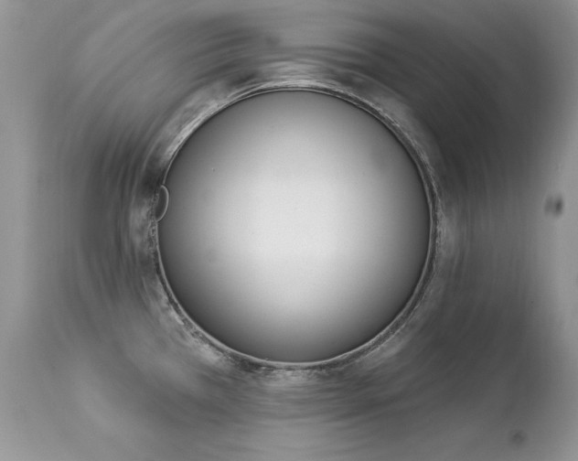 X0000112841385200908211231