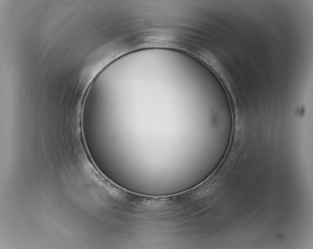 X0000112841386200908211231